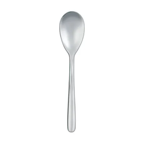Elite Tea Spoon Dozen