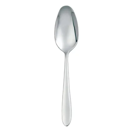 Global Table Spoon Dozen