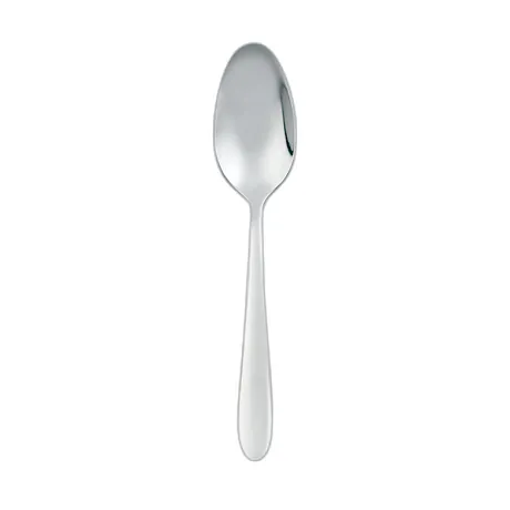 Global Tea Spoon Dozen