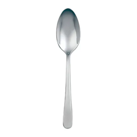 Flair Tea Spoon Dozen