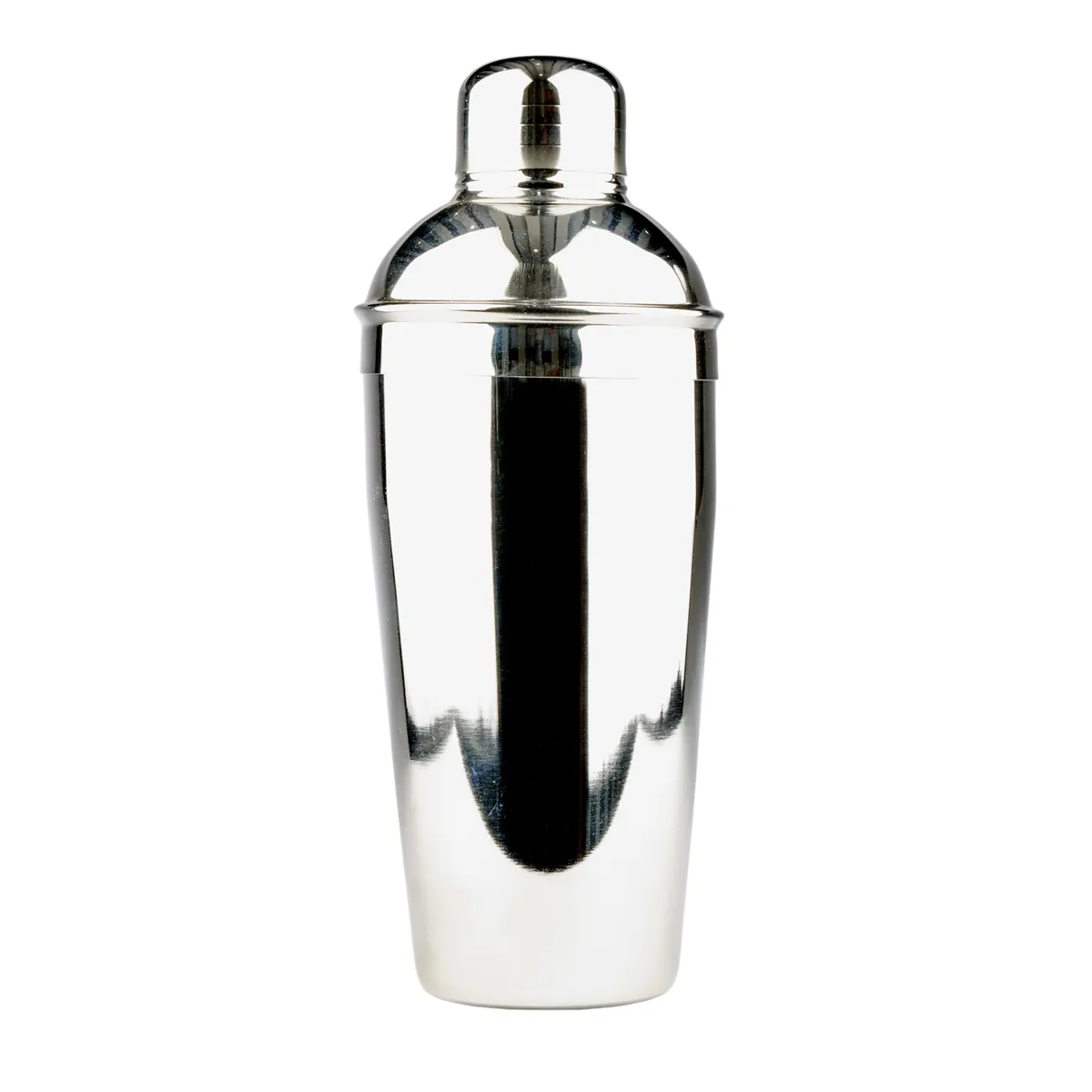 Deluxe Stainless Steel Shaker