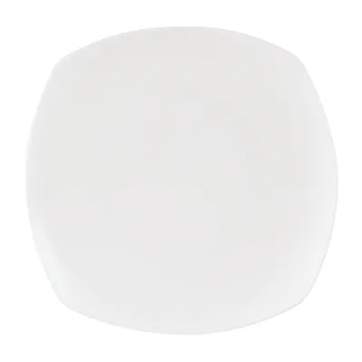 Connoisseur Square Plate view 1